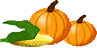 Pumpkins and Corn