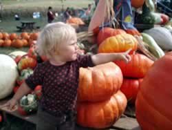 Virginia pumpkin patch