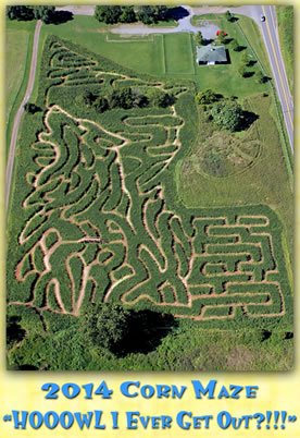 Life's a Hoot - Arial Corn Maze 2013