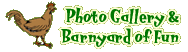 Barnyard of Fun